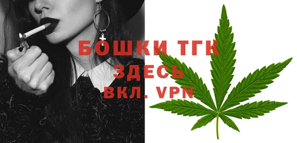 сатива Богданович