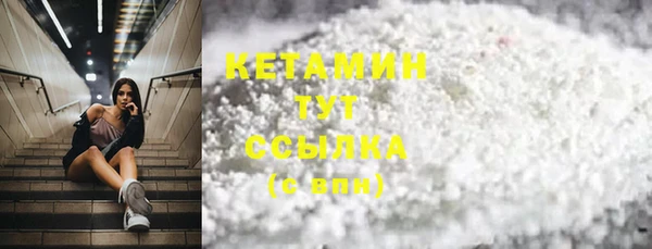 сатива Богданович