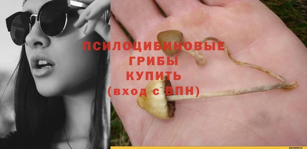 сатива Богданович