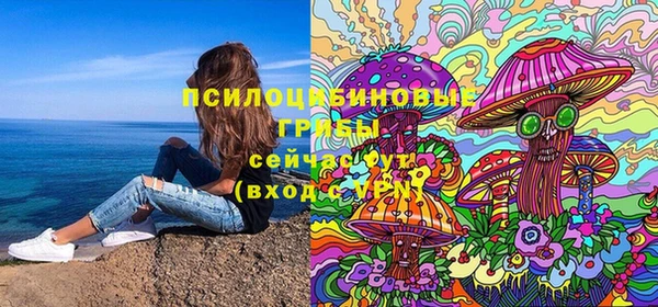 сатива Богданович