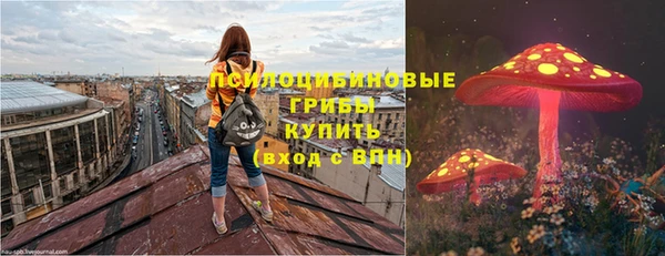 сатива Богданович