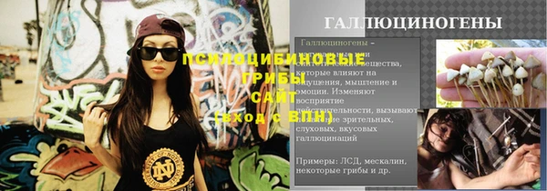 ПСИЛОЦИБИНОВЫЕ ГРИБЫ Богородск