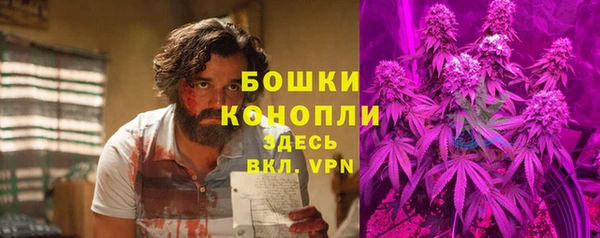 ПСИЛОЦИБИНОВЫЕ ГРИБЫ Богородск