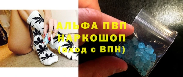 сатива Богданович